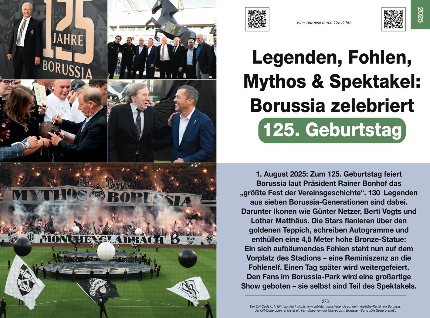 Das große Tagebuch von Borussia Mönchengladbach Einblicke